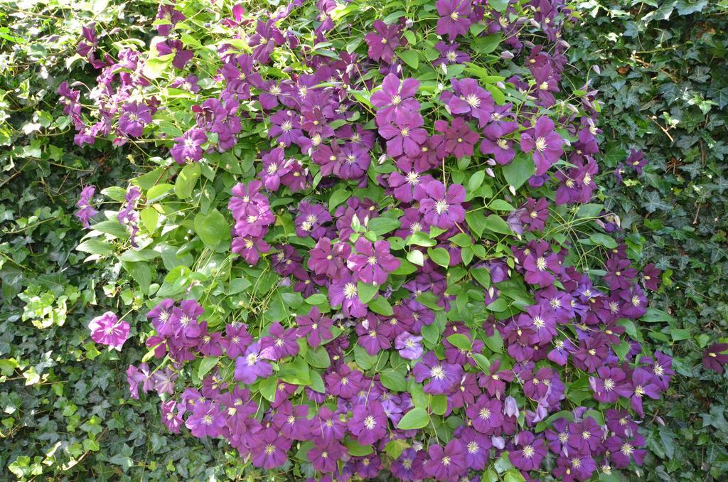 Bloemenhoeve Bed and Breakfast Birdaard Buitenkant foto